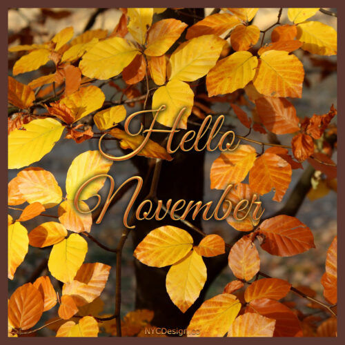 Hello November Images for Instagram and Facebook – NYCDesign.co ...